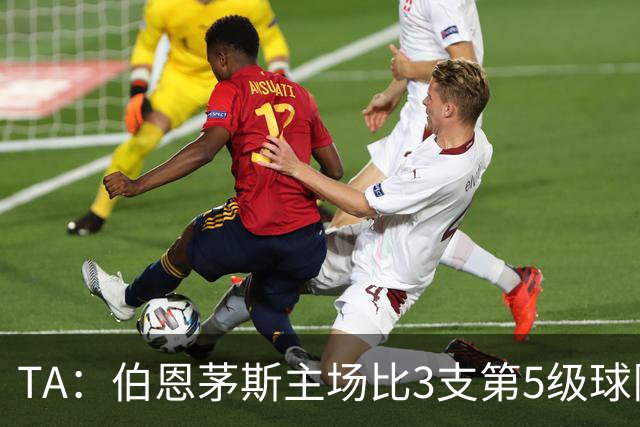 TA：伯恩茅斯主场比3支第5级球队还小，伊劳拉如今的压力远超从前